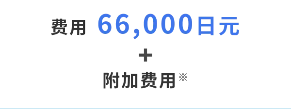 费用 66,000日元 + 附加费用※